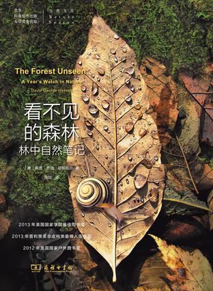 看不見的森林：林中自然筆記小說在線閱讀